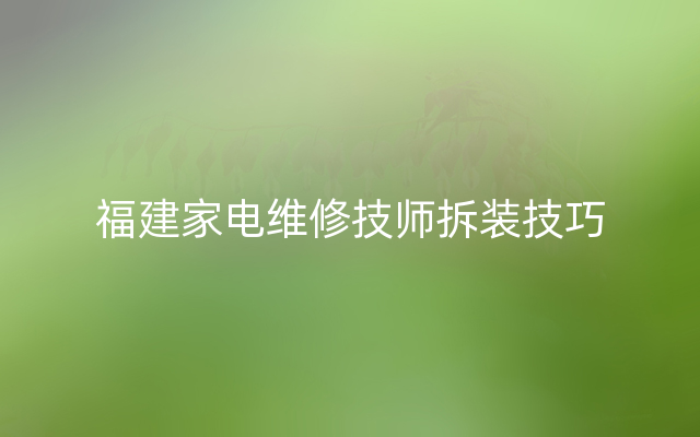 福建家电维修技师拆装技巧