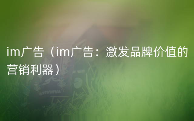 im广告（im广告：激发品牌价值的营销利器）