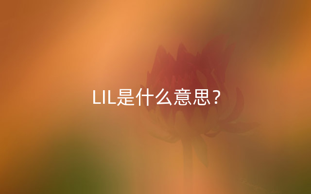 LIL是什么意思？