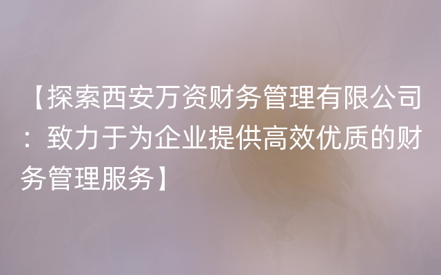 【探索西安万资财务管理有限公司：致力于为企业提