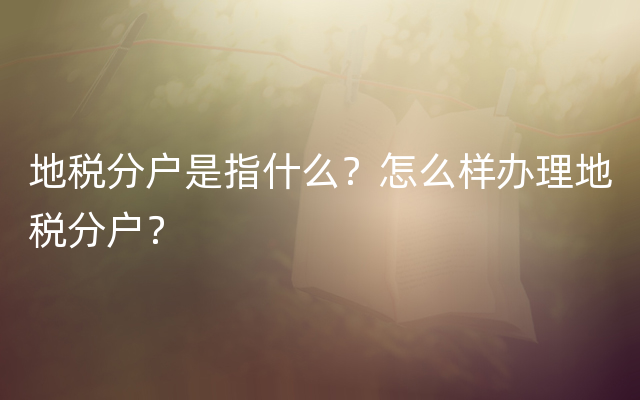 地税分户是指什么？怎么样办理地税分户？