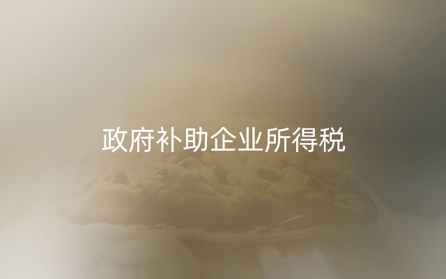 政府补助企业所得税