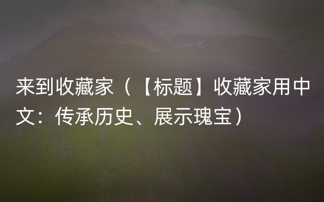 来到收藏家（【标题】收藏家用中文：传承历史、展示瑰宝）