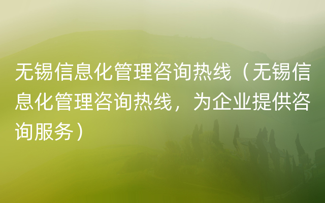 无锡信息化管理咨询热线（无锡信息化管理咨询热线，为企业提供咨询服务）