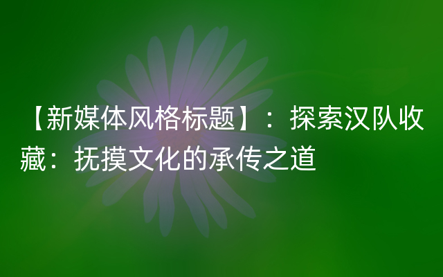 【新媒体风格标题】：探索汉队收藏：抚摸文化的承传之道