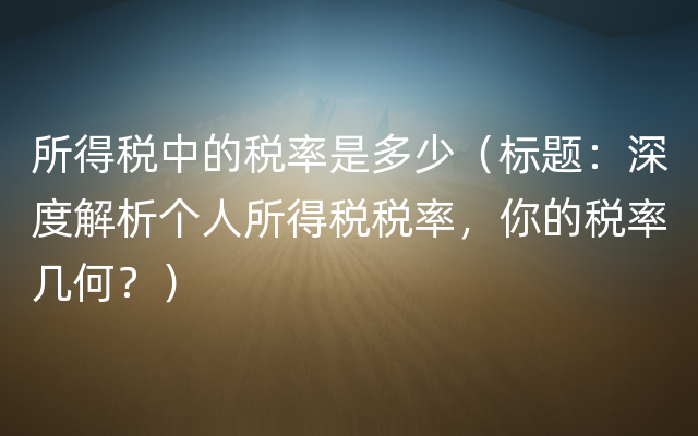 所得税中的税率是多少（标题：深度解析个人所得税税率，你的税率几何？）