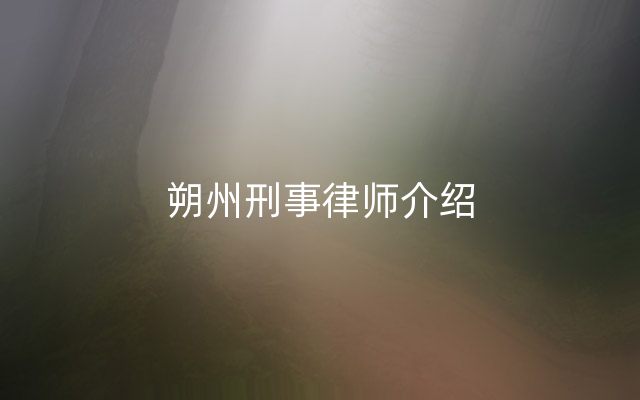 朔州刑事律师介绍