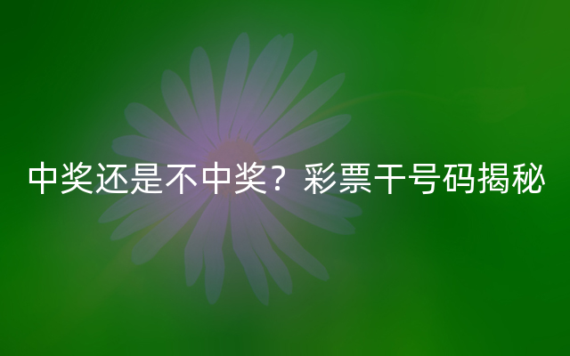 中奖还是不中奖？彩票干号码揭秘