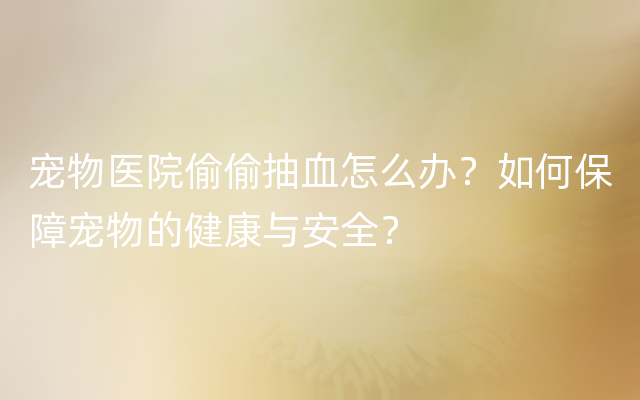 宠物医院偷偷抽血怎么办？如何保障宠物的健康与安全？