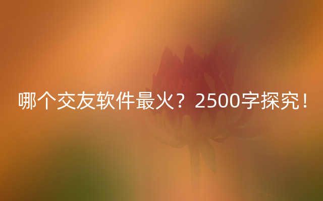 哪个交友软件最火？2500字探究！