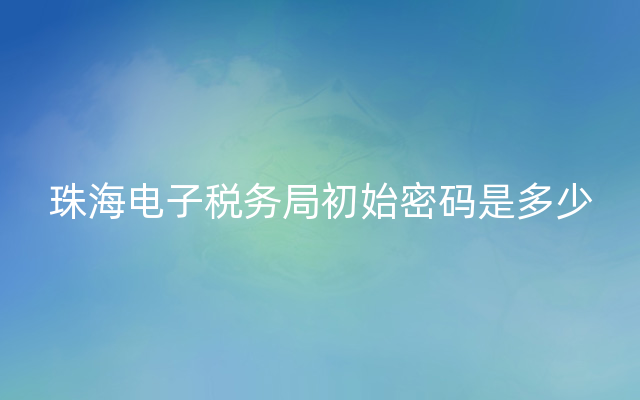 珠海电子税务局初始密码是多少