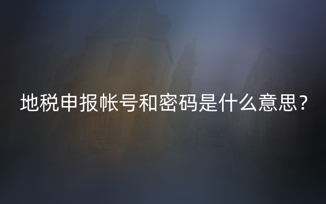 地税申报帐号和密码是什么意思？