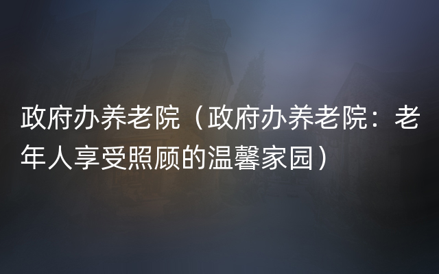 政府办养老院（政府办养老院：老年人享受照顾的温馨家园）