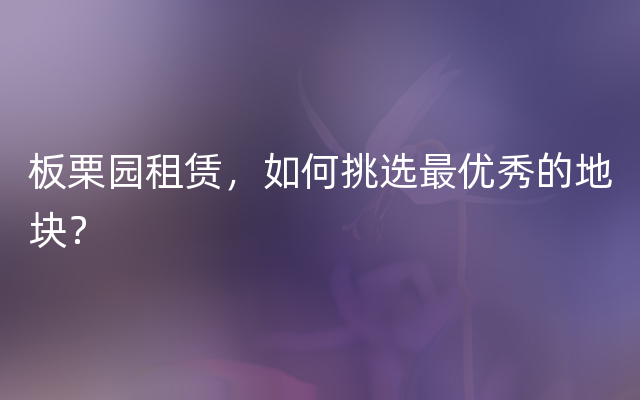 板栗园租赁，如何挑选最优秀的地块？