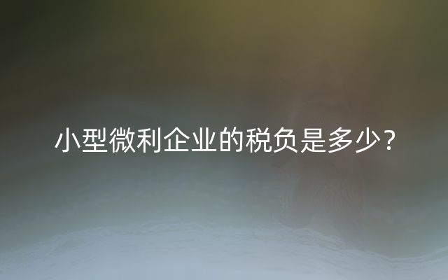 小型微利企业的税负是多少？