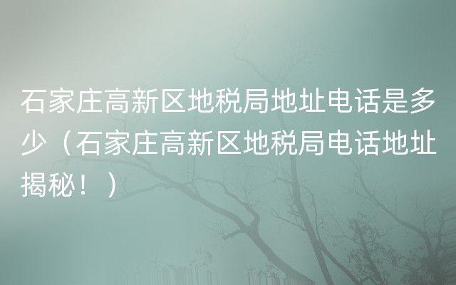 石家庄高新区地税局地址电话是多少（石家庄高新区地税局电话地址揭秘！）