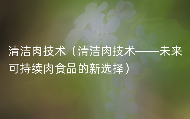 清洁肉技术（清洁肉技术——未来可持续肉食品的新选择）