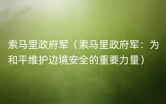 索马里政府军（索马里政府军：为和平维护边境安全