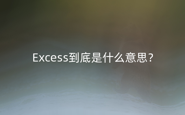 Excess到底是什么意思？