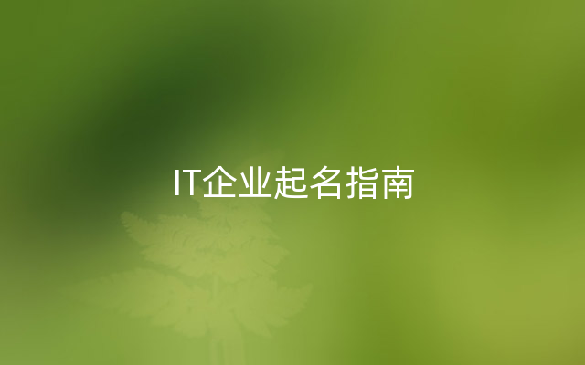 IT企业起名指南