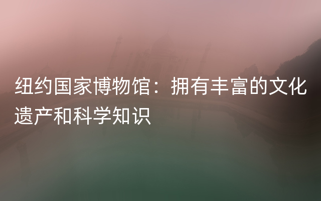 纽约国家博物馆：拥有丰富的文化遗产和科学知识