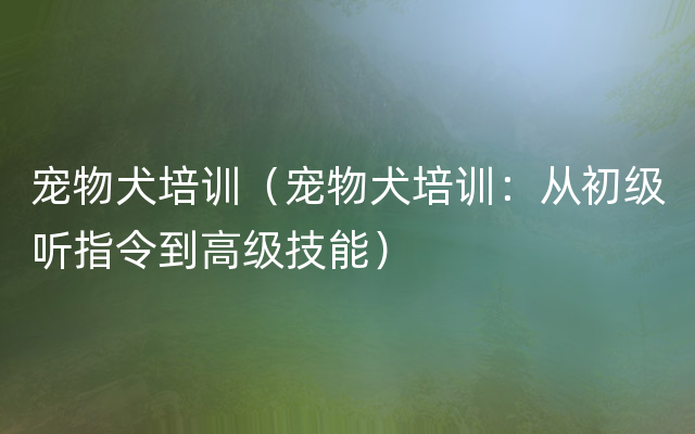 宠物犬培训（宠物犬培训：从初级听指令到高级技能）