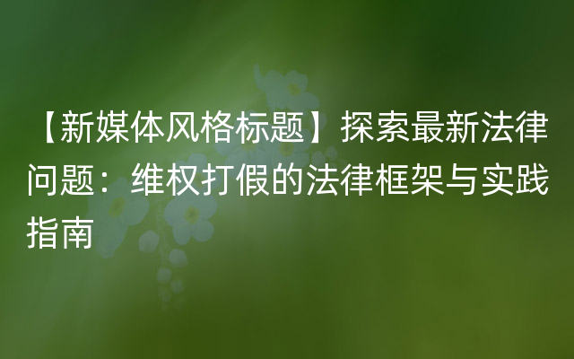 【新媒体风格标题】探索最新法律问题：维权打假的法律框架与实践指南