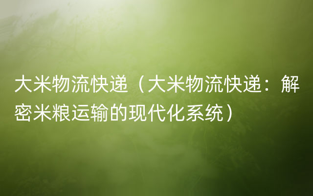 大米物流快递（大米物流快递：解密米粮运输的现代化系统）