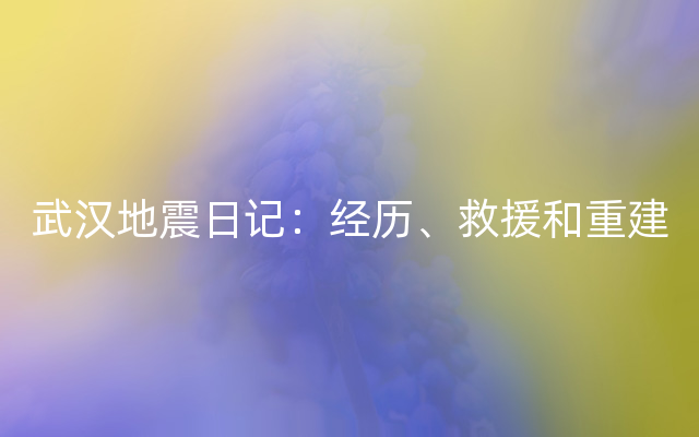 武汉地震日记：经历、救援和重建