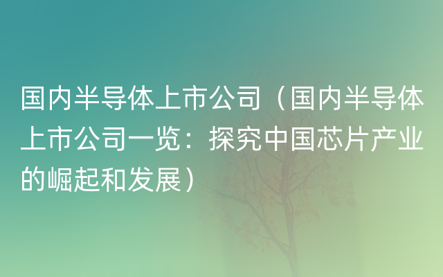 国内半导体上市公司（国内半导体上市公司一览：探究中国芯片产业的崛起和发展）