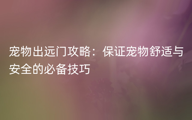 宠物出远门攻略：保证宠物舒适与安全的必备技巧