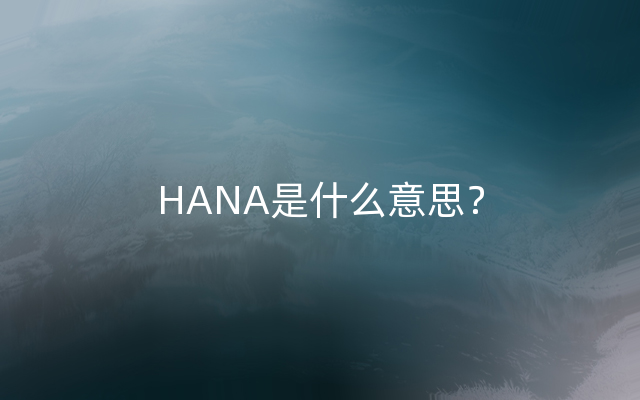 HANA是什么意思？