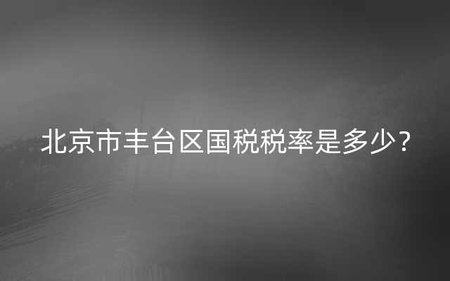 北京市丰台区国税税率是多少？