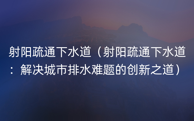 射阳疏通下水道（射阳疏通下水道：解决城市排水难题的创新之道）