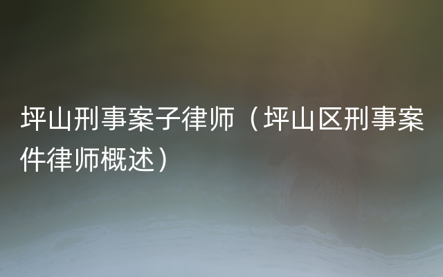 坪山刑事案子律师（坪山区刑事案件律师概述）