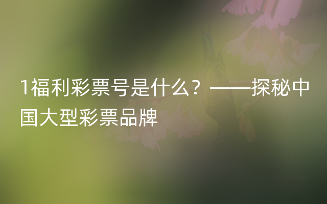 1福利彩票号是什么？——探秘中国大型彩票品牌