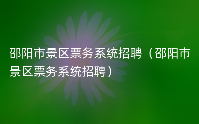 邵阳市景区票务系统招聘（邵阳市景区票务系统招聘）