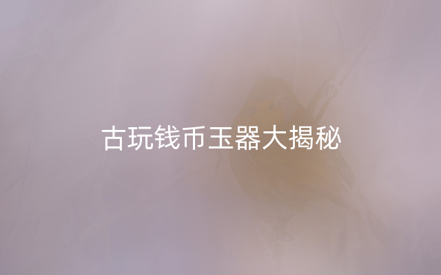 古玩钱币玉器大揭秘