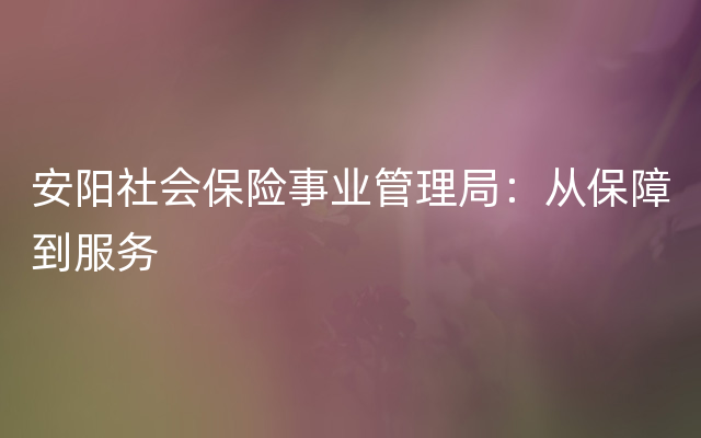 安阳社会保险事业管理局：从保障到服务