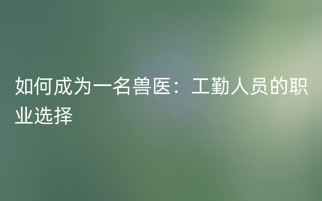 如何成为一名兽医：工勤人员的职业选择