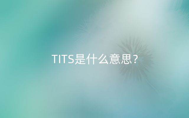 TITS是什么意思？