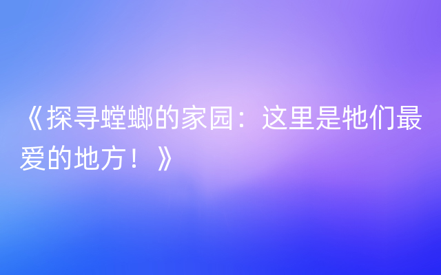 《探寻螳螂的家园：这里是牠们最爱的地方！》