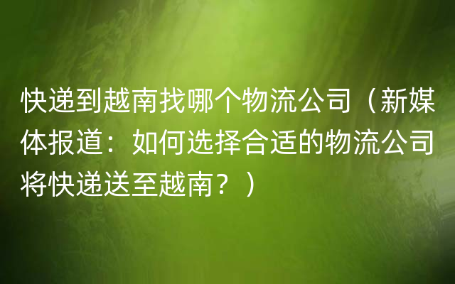 快递到越南找哪个物流公司（新媒体报道：如何选择合适的物流公司将快递送至越南？）