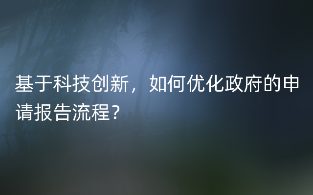 基于科技创新，如何优化政府的申请报告流程？