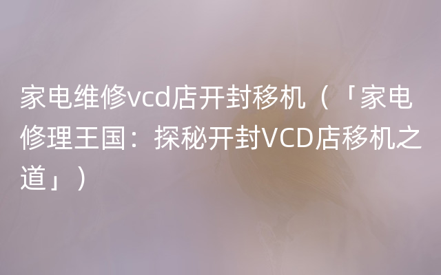 家电维修vcd店开封移机（「家电修理王国：探秘开封VCD店移机之道」）