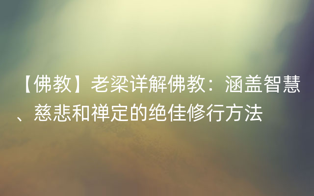 【佛教】老梁详解佛教：涵盖智慧、慈悲和禅定的绝佳修行方法