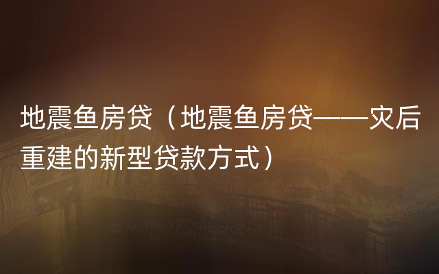 地震鱼房贷（地震鱼房贷——灾后重建的新型贷款方式）