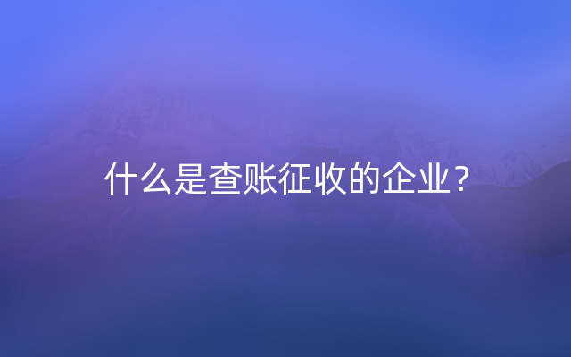 什么是查账征收的企业？