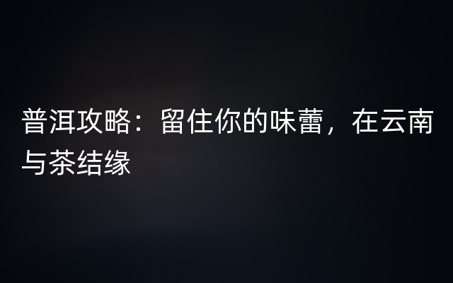 普洱攻略：留住你的味蕾，在云南与茶结缘