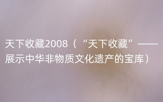 天下收藏2008（“天下收藏”——展示中华非物质文化遗产的宝库）